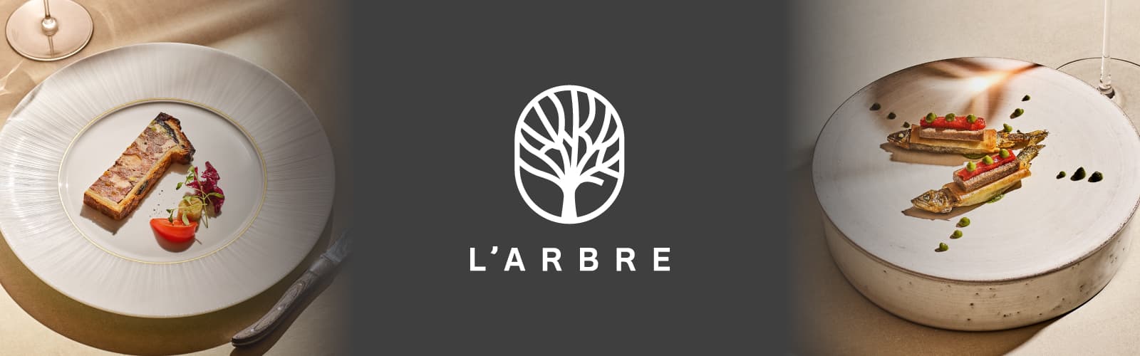 L’ARBRE